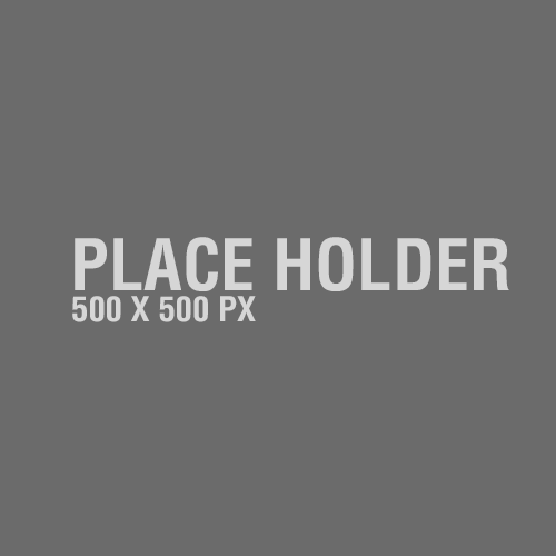 Placeholder-500x500px